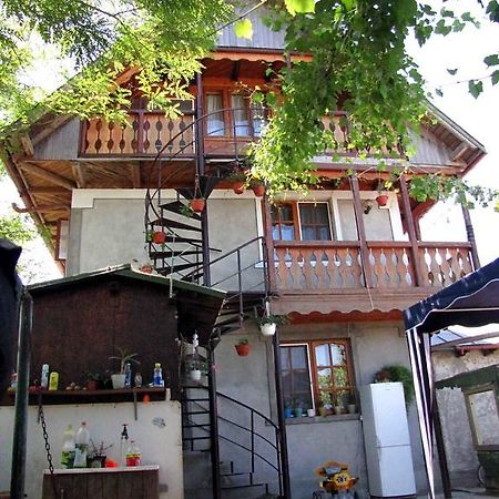 Casa Oana Otel Sulina Dış mekan fotoğraf
