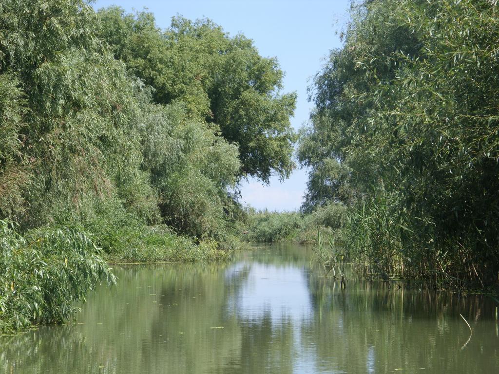 Casa Oana Otel Sulina Dış mekan fotoğraf